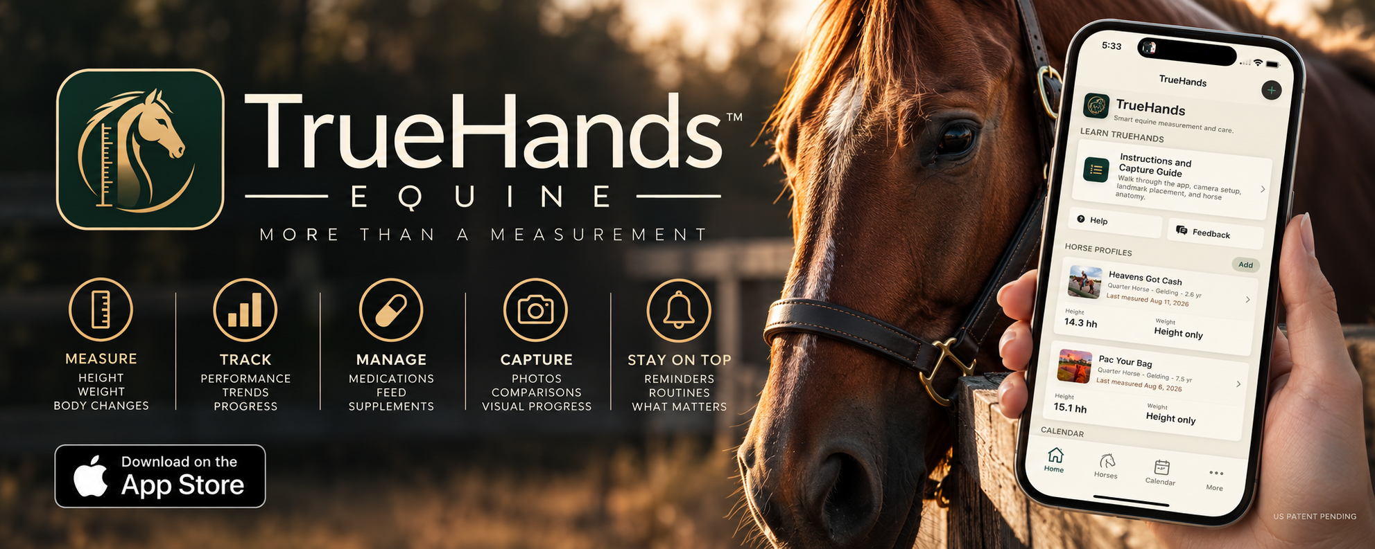 TrueHands Equine — More than a measurement. Measure, track, manage, capture and stay on top of care.